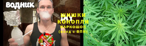 гидропоника Вяземский