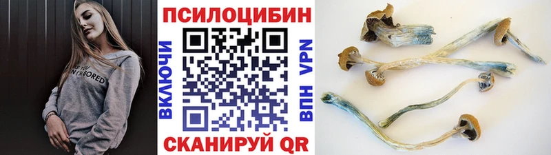 Галлюциногенные грибы ЛСД  blacksprut ссылка  Североуральск  дарнет шоп 
