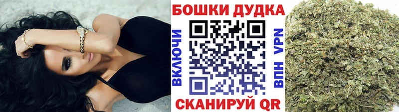 Конопля Bruce Banner Североуральск